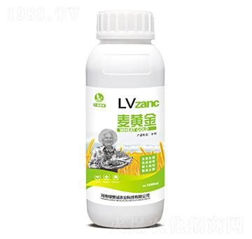 麥黃金-綠贊誠(chéng)農(nóng)業(yè)