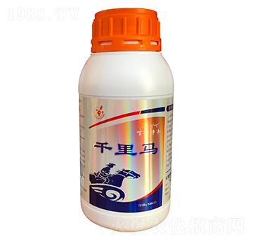 千里馬-百利凈豐