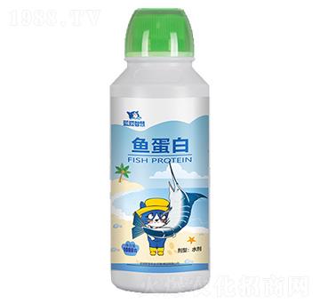 魚蛋白-藍(lán)貓智慧