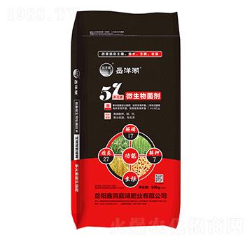 ��Ԫ��΢�������-�����-�ζ�ͥ���ʘI(y��)