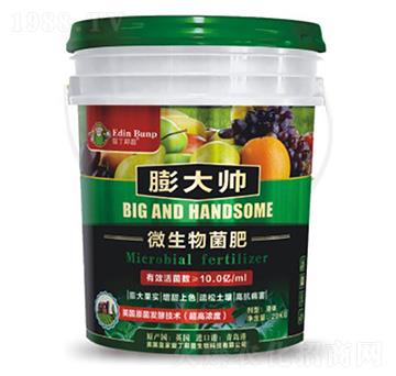 ΢�������-���-��(��i)������