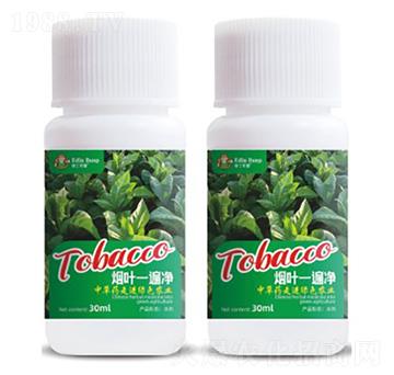 ���~һ���-��(��i)������