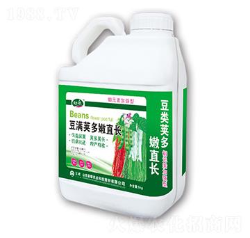 豆?jié)M莢多嫩直長-勁萃-榮耀農(nóng)業(yè)