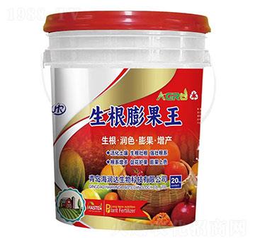 生根膨果王-海潤(rùn)達(dá)生物