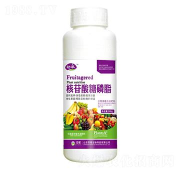 ����������֬��500g��-����-�sҫ�r(n��ng)�I(y��)