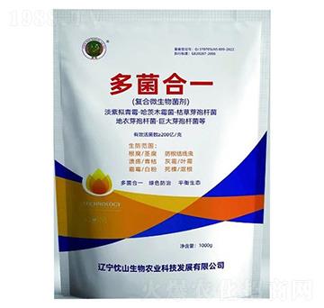 �����һ-��ɽ����