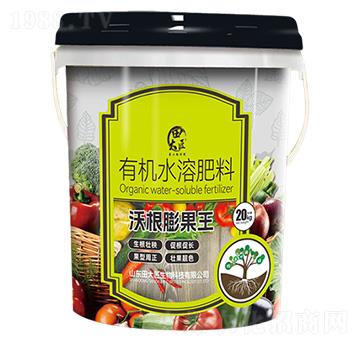 有機水溶肥料-沃根膨果王-田大匠