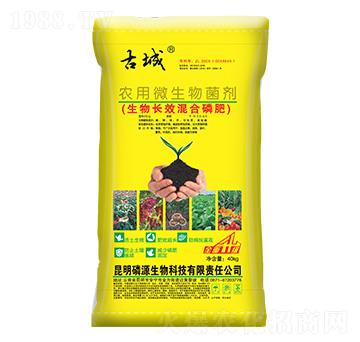 農用微生物菌劑-古城-和莊肥業(yè)