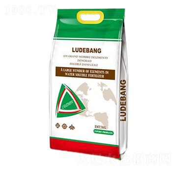 大量元素水溶肥料20-20-20-魯德邦