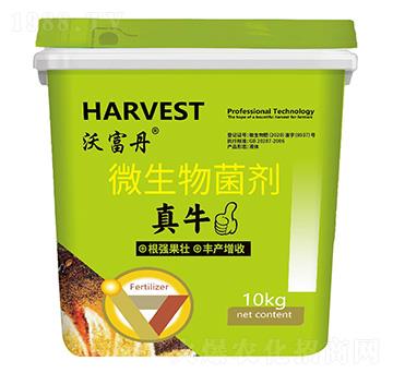 微生物菌劑-真牛-沃富丹-田思雨農(nóng)業(yè)