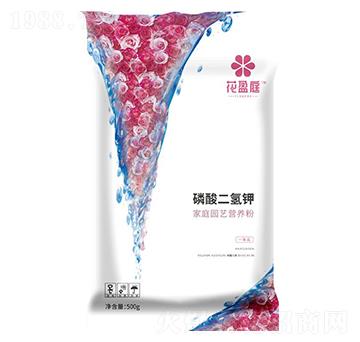 ��ͥ�@ˇ�I(y��ng)�B(y��ng)�ۣ��������⛣�-��ӯͥ-�A��(qi��ng)�������F(tu��n)