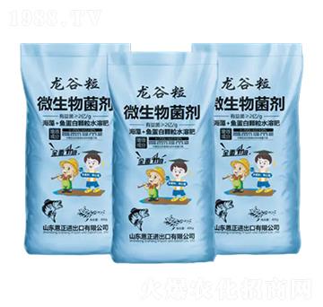 微生物菌劑-龍谷粒-恩正