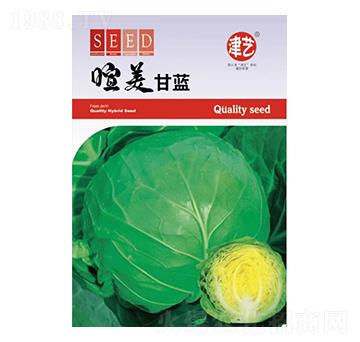 甘藍種子-喧美甘藍-邯豐農(nóng)業(yè)