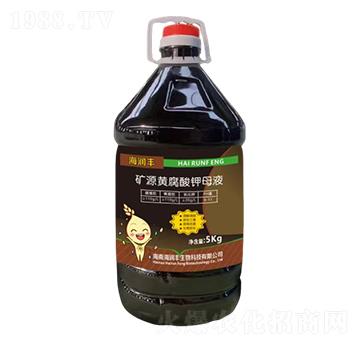 �VԴ�S�����ĸҺ-�����S