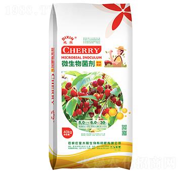 ������΢�������-����-��̫�(y��ng)