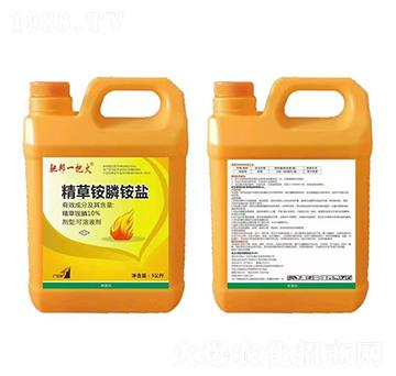 10%�����@��@�}5����-�Y��һ�ѻ�-�t̫�(y��ng)