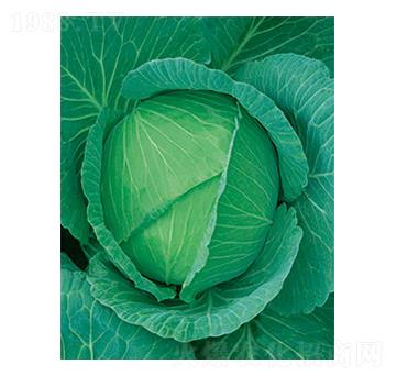 ���Sһ̖���{(l��n)-̫���N�I(y��)