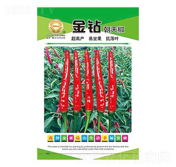 辣椒種子-金鉆朝天椒-太樂(lè)種業(yè)