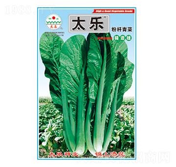 ��˷N��-�ۗU���-̫���N�I(y��)