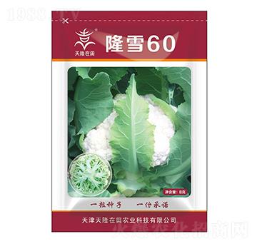 隆雪60-天隆在田-天隆農(nóng)業(yè)