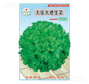 生菜種子-太樂大速生菜-太樂種業(yè)