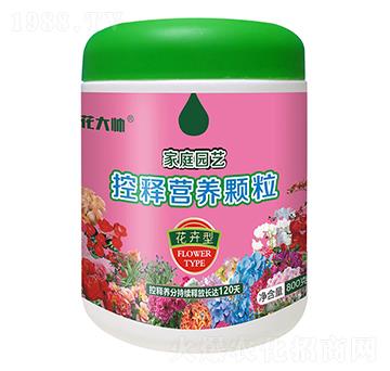 800�˻����ͼ�ͥ�@ˇ��ጠI�B(y��ng)�w��-����-�G�ַʘI(y��)