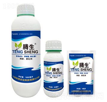 ����֬���S����E-�v��-�õ���