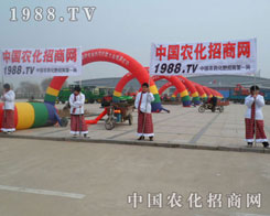 �r(n��ng)���W(w��ng)��Ŭ��ƴ���ľ����ڕ�(hu��)�������w�F(xi��n)