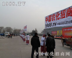 �r(n��ng)���W(w��ng)��С��ꖂ���(g��)��(g��)��Ѫ���v