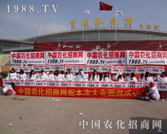 �r(n��ng)���W(w��ng)������ǲ���������