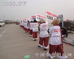 1988.TVӢ���Ƒ�(zh��n)�ġ�С���(y��ng)��