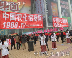 2013ɽ�|ֲ���p����(hu��)���F(tu��n)�(du��)��������