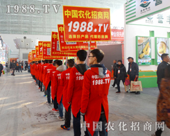 1988.TV�����ˆT�����w�P(y��ng)���������