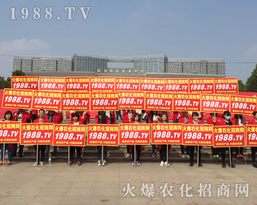 �r(n��ng)����Ӣ��2016ɽ�|ֲ�����ו�(hu��)ȫ��ƴ����