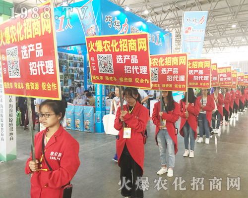 1988.TV��Ӣ�û��ļ����cȼ2017�����r(n��ng)�Y����