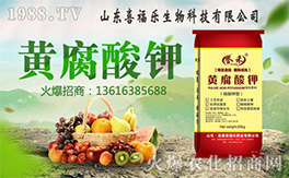 ��ϲ������ף������µ�һ���﹤�����������������