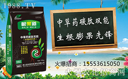 �����u��֮����ףԸһ·�������т����w�������i�꼪����