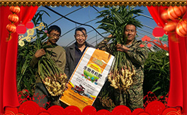 �����¡����ף��λ��(j��ng)�N���������w������ؔԴ�V�M��