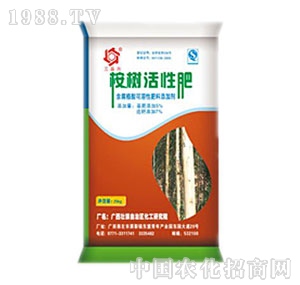 �V������-�����Է�