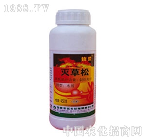 �S���r(n��ng)��-�����