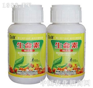 ��ʿ��-������