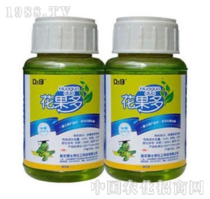 ��ʿ��-������