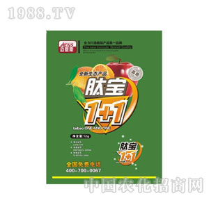 �~��˹-���Č�1+1