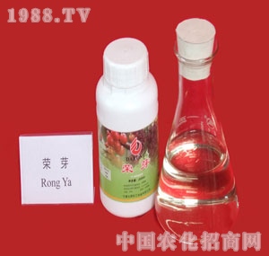 ֲ�����L(zh��ng)�{(di��o)��(ji��)��-�sѿ