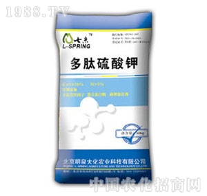 ��Ȫ��-���������