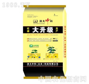 ����п�-������(j��)