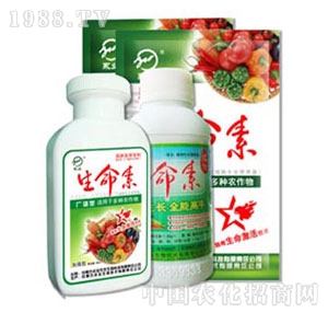 ֲ��������