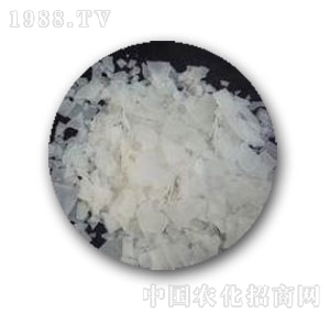 �к����W-99�x��ĤƬ