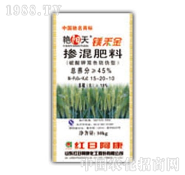 �G���-С�����Ó����