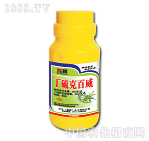 �л�����-����˰���